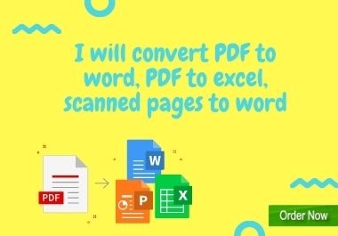 I will convert pdf to word,  pdf to excel,  scanned pages to word