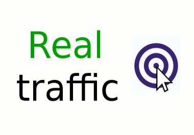 I will drive high organic keyword searched traffic to your site