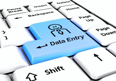 i will provide Data entry And Web research