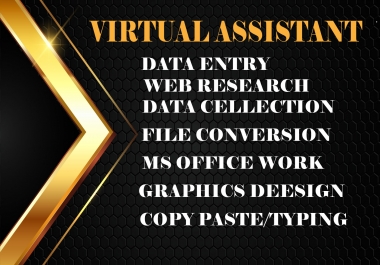 I will be your professional reliable Virtual Assistant