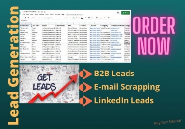 I will do targeted B2B Lead generation,  Web Research and E-mail Listing