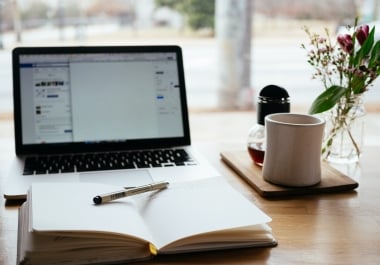 Professional blog article writing