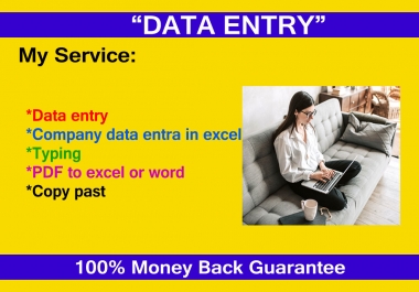 I will do fast data entry,  typing,  scan file to word or excel