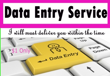 I will Provide you Data entry service in time