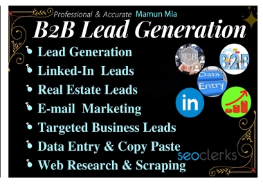 I will do data entry,  web research and LinkedIn lead generation