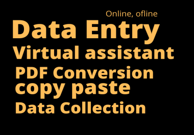 I will do excel data entry virtual assistant and lead generation