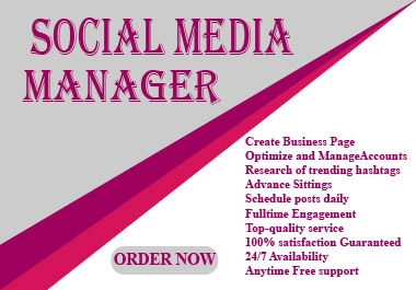 I Will be Your Social Media Manager Professionally
