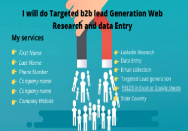 I will do targeted b2b lead generation web research and data entry