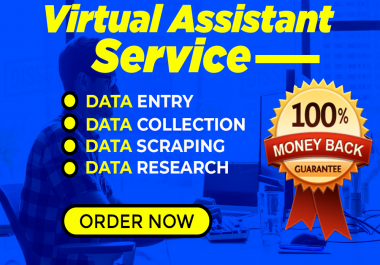be your virtual assistant for data entry,  web research and lead generation