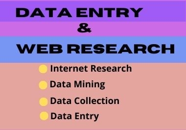 I will do data entry and web research professionally