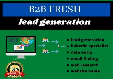 I will do targeted and b2b 100 lead generation