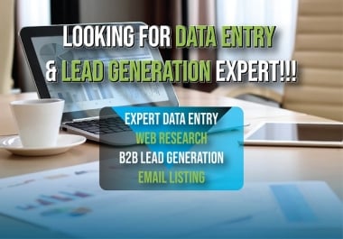 I will do professional data entry and lead generation