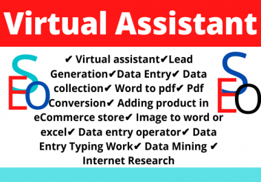 I will be Your Virtual Assistant For Data Entry And Lead Generation
