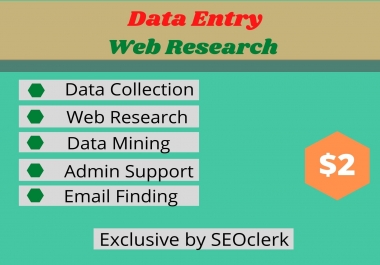 I Will do Data Entry and Web Research
