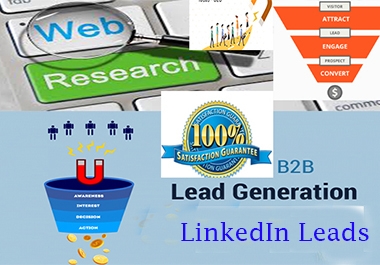 perfect b2b lead generation web research data entry on targeted niche
