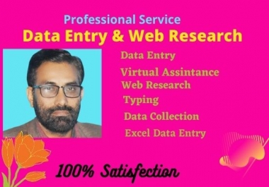 I will do excel data entry, copy paste, data mining and data scraping perfectly