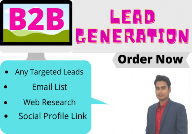 I will do targeted b2b lead generation,  data entry,  and web research