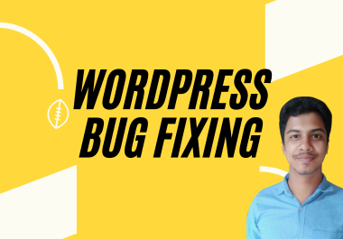 I will fix WordPress website bug or error