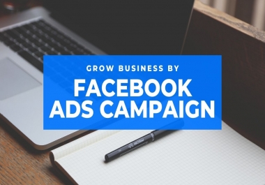 I will set FB ad campaign for you