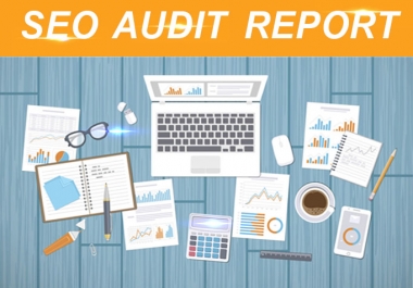 provide a professional SEO audit report and a competitive website analysis