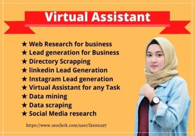I will do diligent virtual assistant for data entry,  lead generation