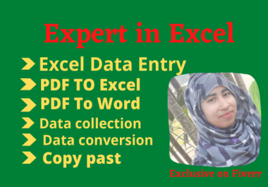 I will do excel data entry work for any company
