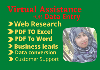 I will be your Virtual Assistance for data entry work