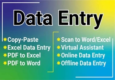 I will do excel data entry,  typing,  copy paste,  data mining,  file convert
