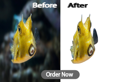 I will professionally remove from 10 background image