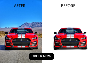 I will professionally remove background from image