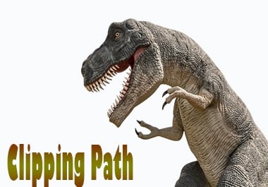 I will do fast delivery background remove clipping path 15 images