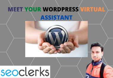 I will be your WordPress virtual assistant and manager