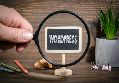 Wordpress Website Development In just 7 Days