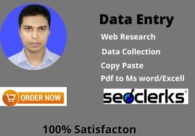 I can do any kind of data entry,  copy paste,  web research