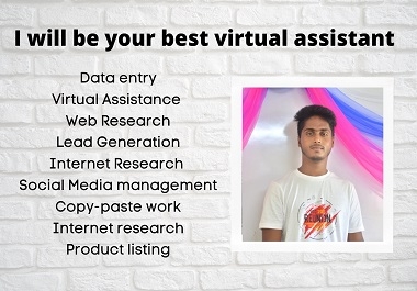 I will be your virtual assistant for any kind of tasks