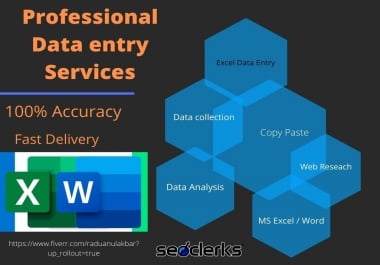 I will do excel data entry,  web research,  copy past,  typing