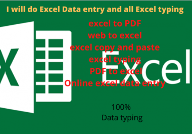I will do Excel Data entry and all Excel typing