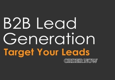 I will do b2b lead generation for your Targeted Niche