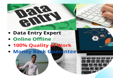 I Will Do Your Any Type Data Entry Work