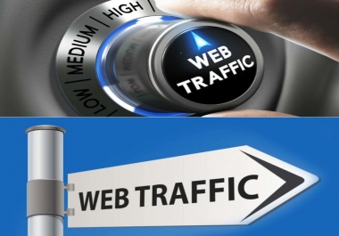 Real organic traffic daily 100+ visitor to your site for 30 days