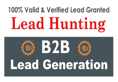 I will provide b2b lead generation and targeted LinkedIn lead generation