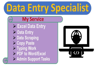 I will do any type of data entry job Professionally