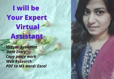 I will be Your Expert Virtual Assistant for your any work