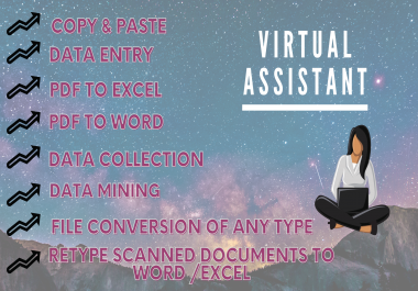 I will be your Professional Virtual Assistant as your demand