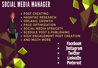 I want to be your Professional Social Media Marketing Manager