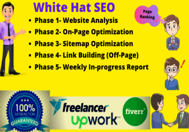 I will do best monthly SEO service for google top ranking in 30 days
