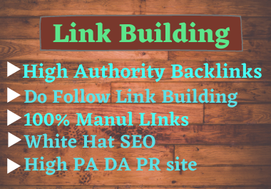 I will do backlink SEO for your webpage