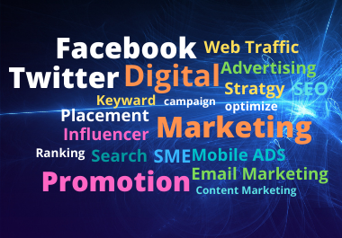 I will be your social media marketing manager for your business