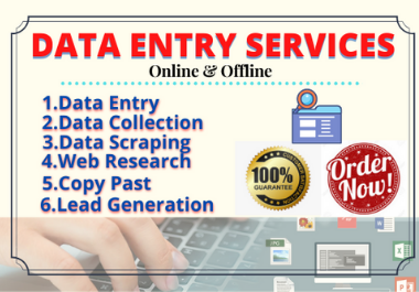 I Will Provide you DATA ENTRY SERVICES