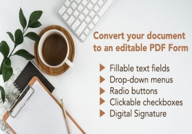 I will design a pdf or convert to a fillable pdf form